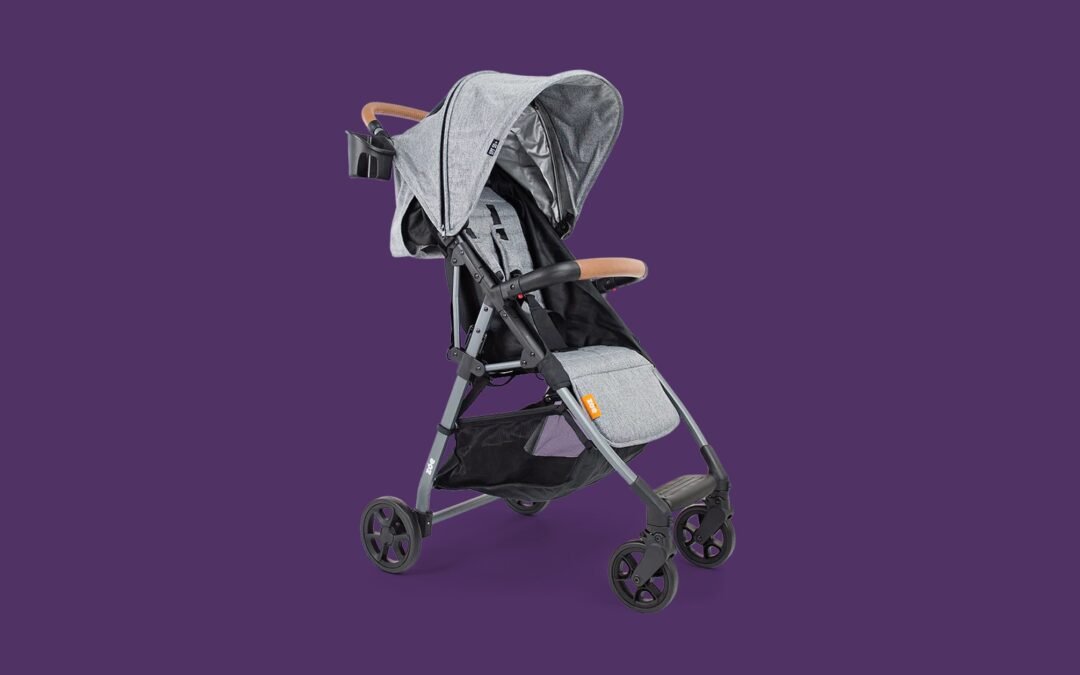 10 Best Strollers for Almost Every Budget and Need (2023)